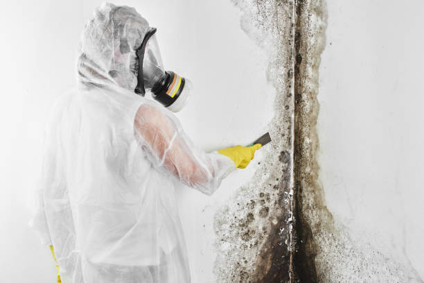 Water Damage Restoration in Banks Springs, LA